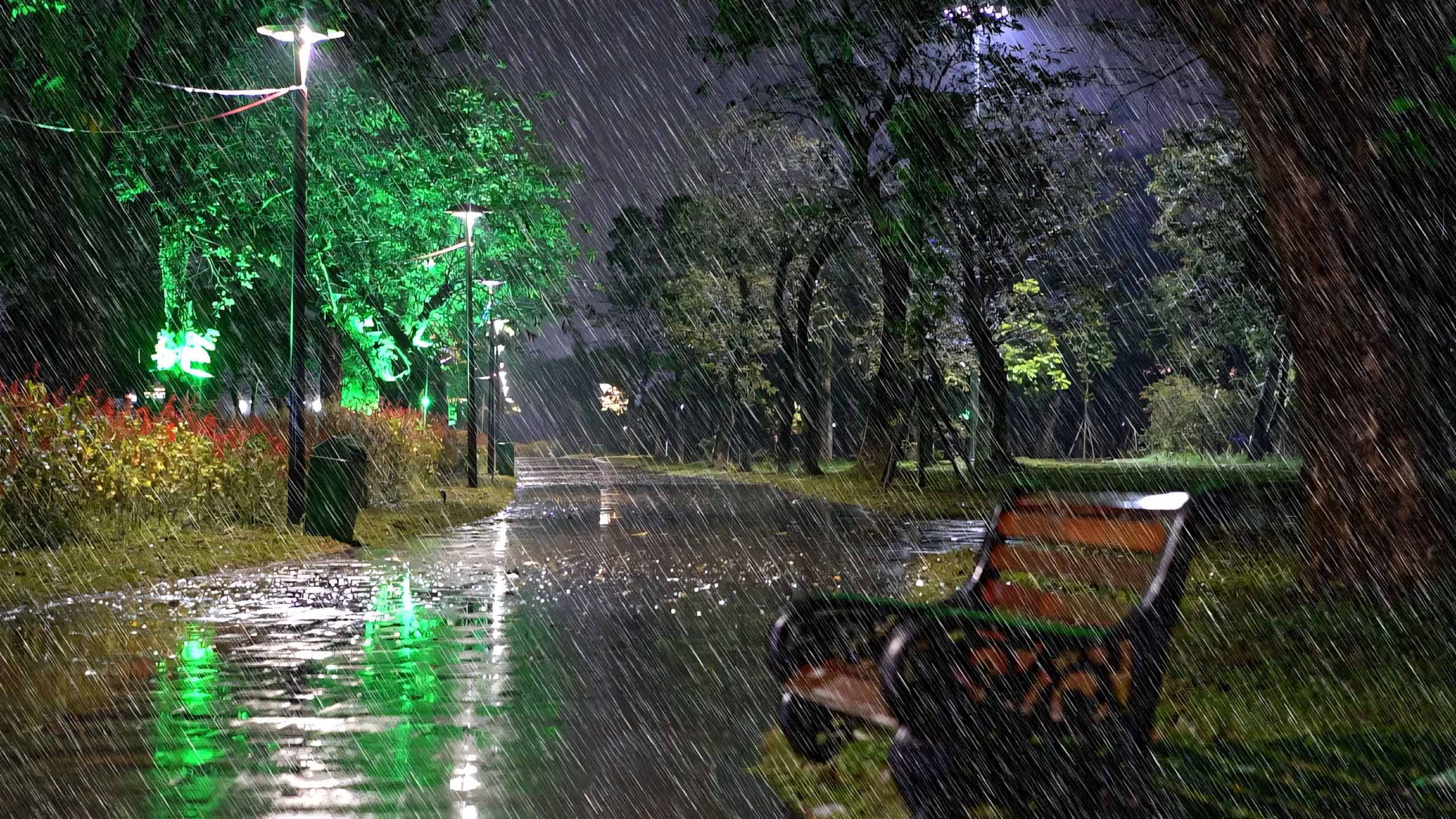 hinh anh mua buon co don 2560px 1440px 2k 8