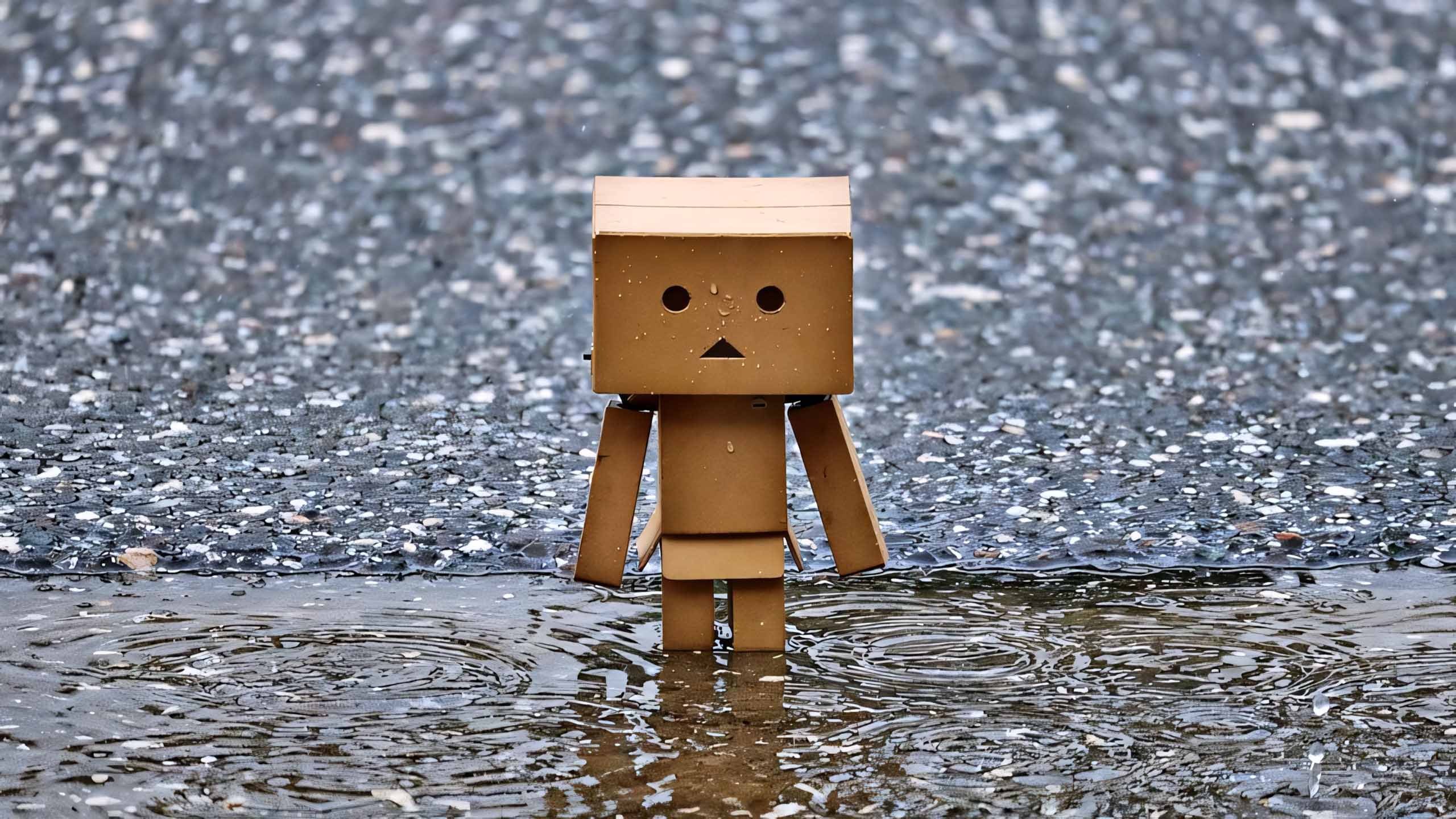 hinh anh mua buon co don 2560px 1440px 2k 17