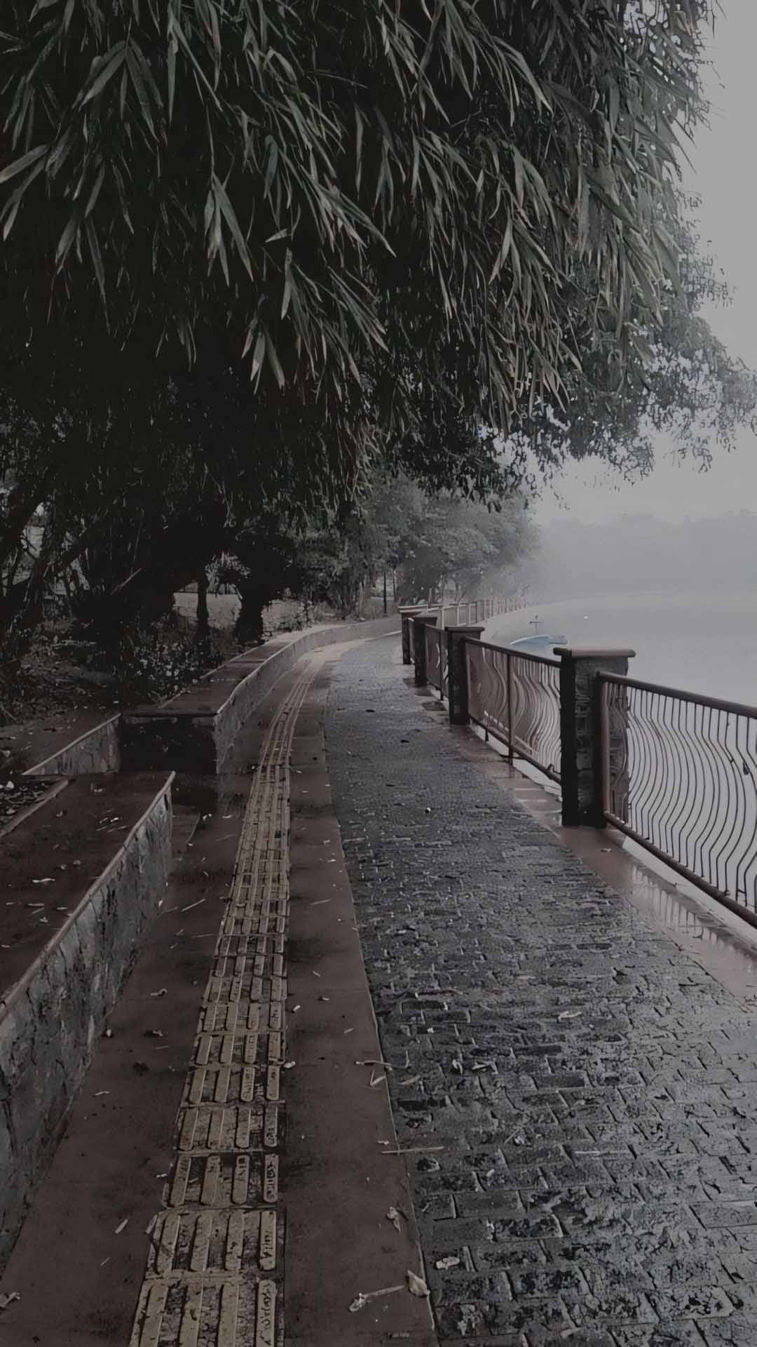 anh mua buon tam trang 1920px 1080px full hdd 5