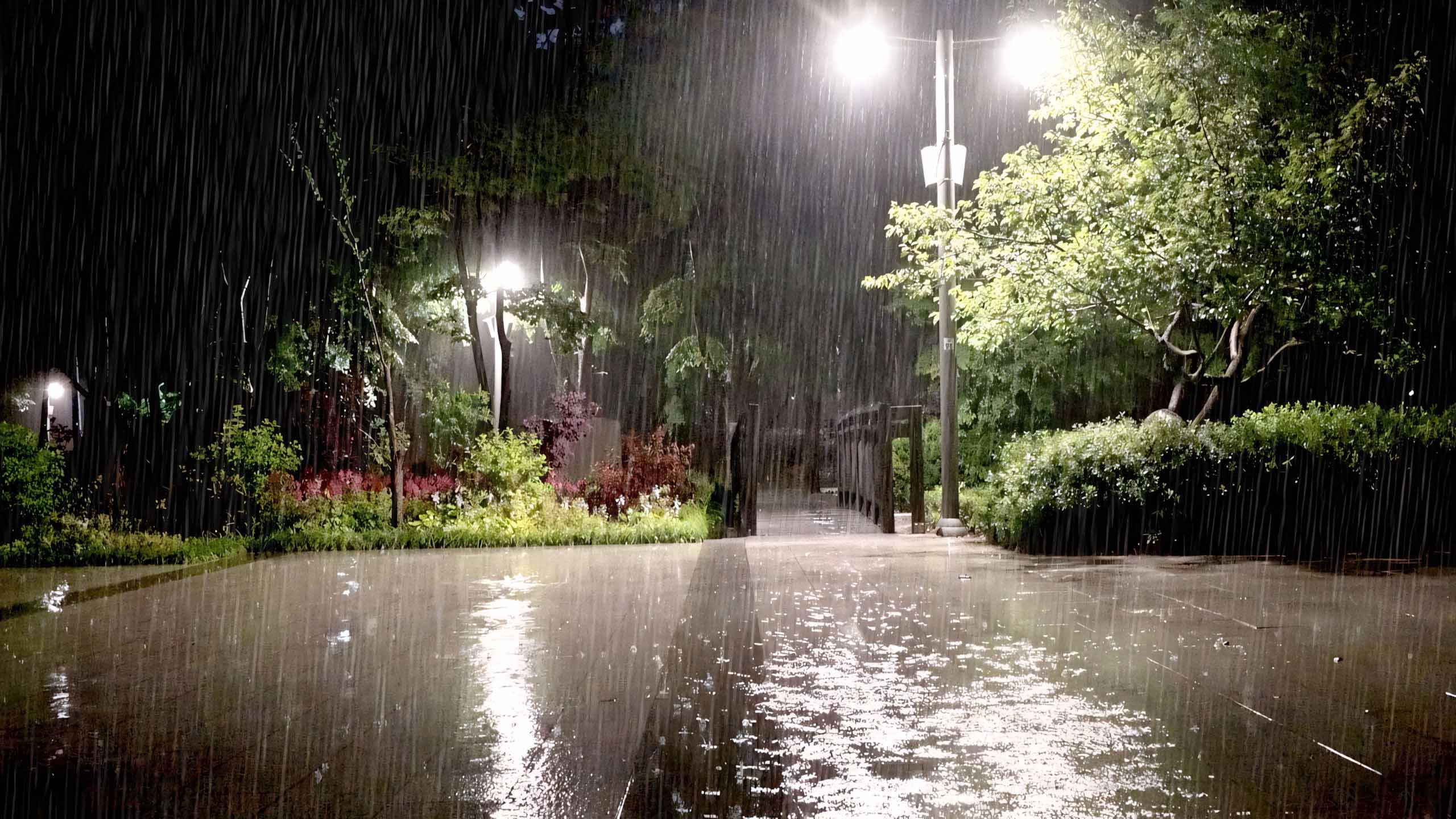 hinh anh mua buon co don 2560px 1440px 2k 3