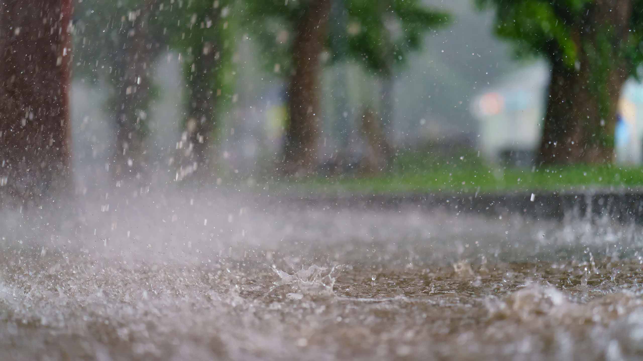 hinh anh mua buon co don 2560px 1440px 2k 15