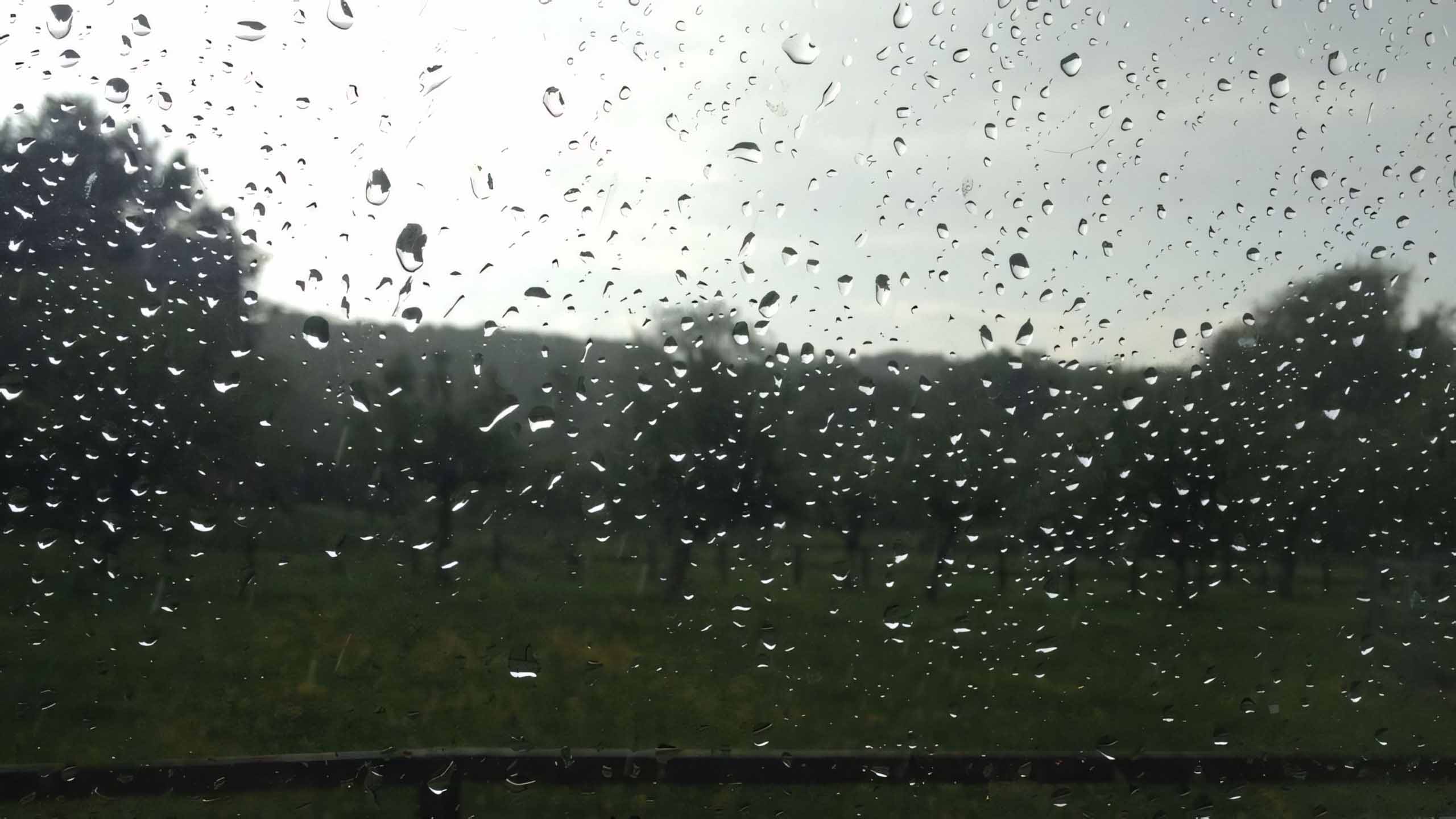 hinh nen may tinh mua buon 2560px 1440px 2k 5