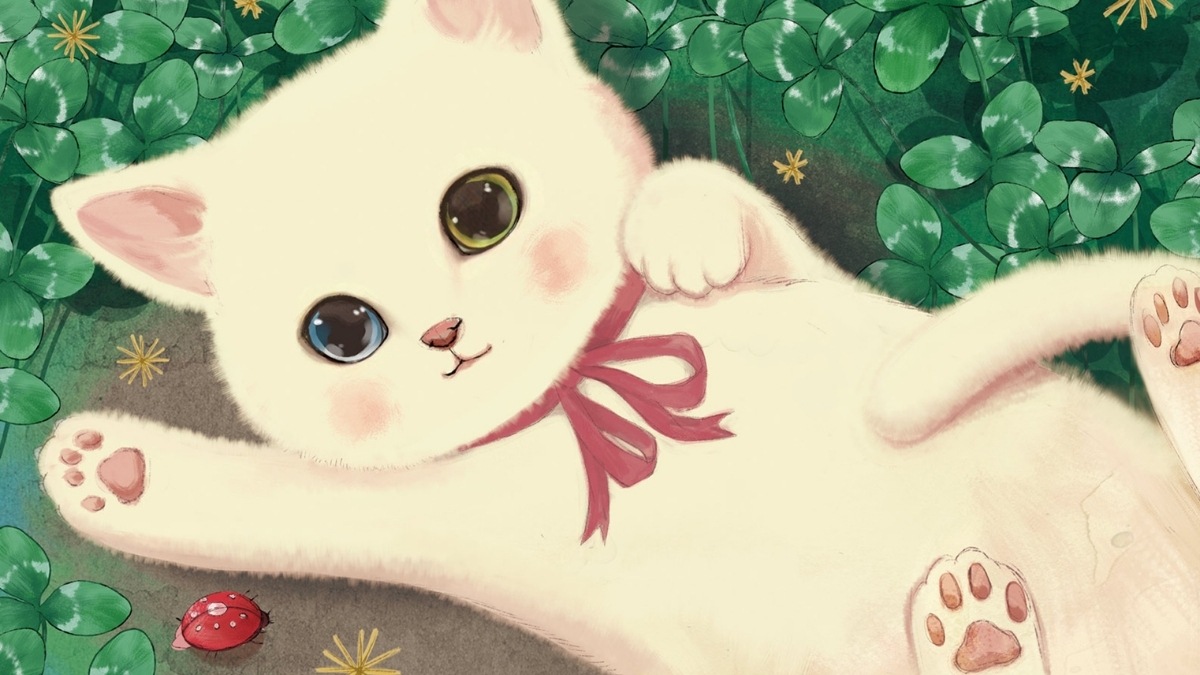 Hình nền mèo vô tri cho máy tính