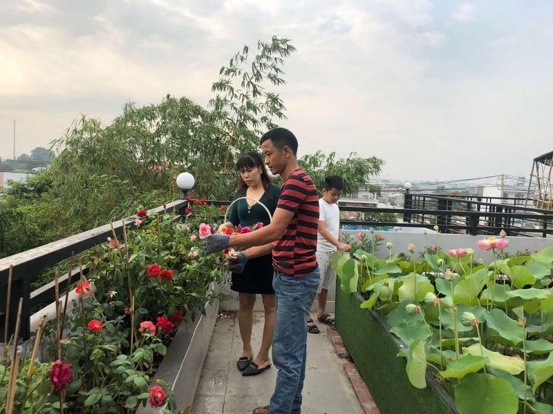 Doanh nhân 7x đào ao trồng sen đẹp hút hồn trên sân thượng 400m2 ở Sài Gòn - 13