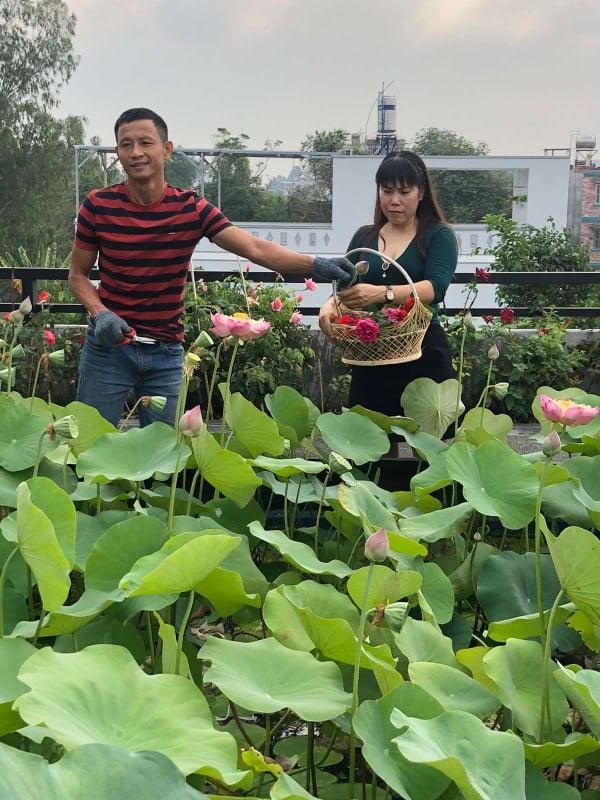 Doanh nhân 7x đào ao trồng sen đẹp hút hồn trên sân thượng 400m2 ở Sài Gòn - 15