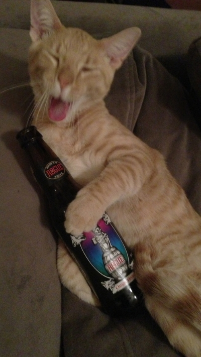 Meme dễ thương cho điện thoại thêm ngọt ngào