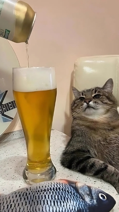 Meme đẹp 4K cho điện thoại thêm phần phong cách