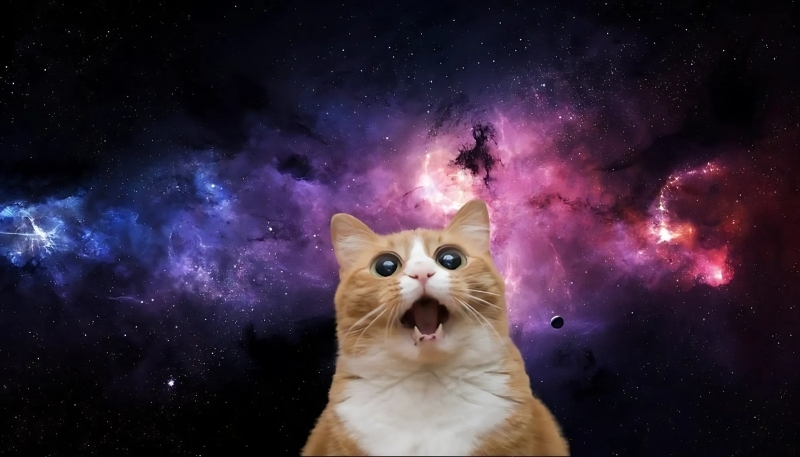 Nền hài hước cho máy tính nam năng động