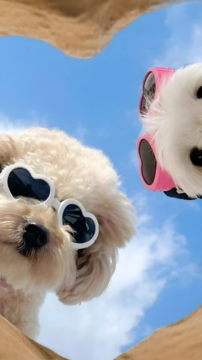 Nền đẹp 4K cho nhóm thêm phần ấn tượng