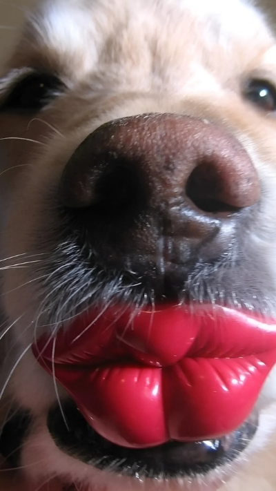 Nền xinh xắn cho nhóm bạn yêu thích sự dễ thương