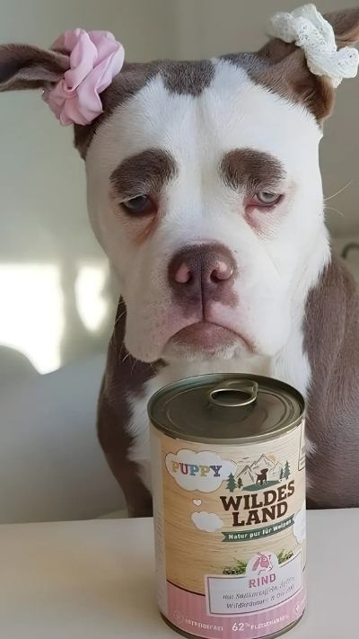 Hình nền cực ngầu cho nhóm trên điện thoại