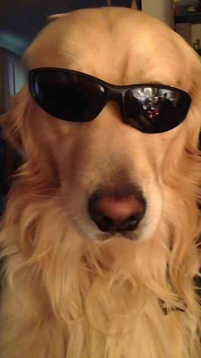 Nền điện thoại đẹp 4K cho nhóm cá tính