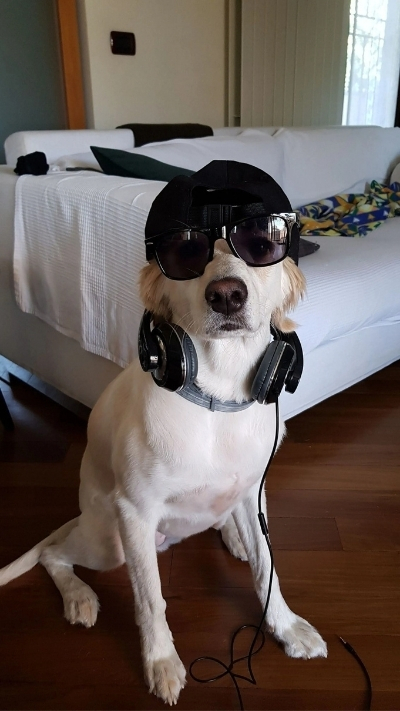 Hình nền ngầu cho nhóm bạn thêm phần nổi bật