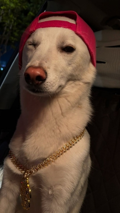 Hình nền cực ngầu cho nhóm bạn yêu thích sự độc đáo