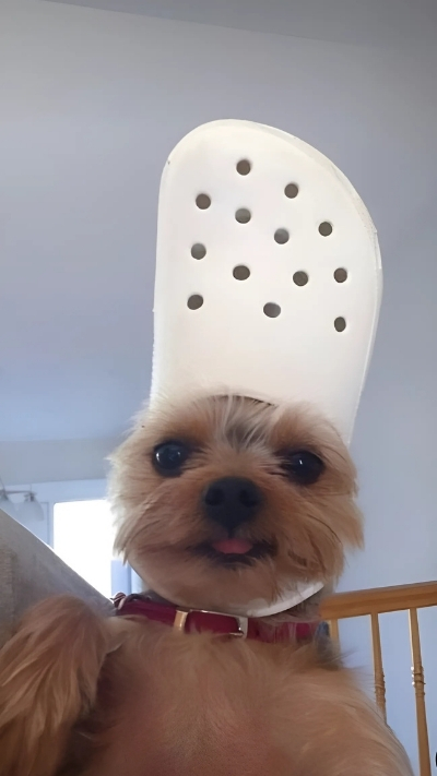 Avatar cute cho điện thoại thêm phần dễ chịu