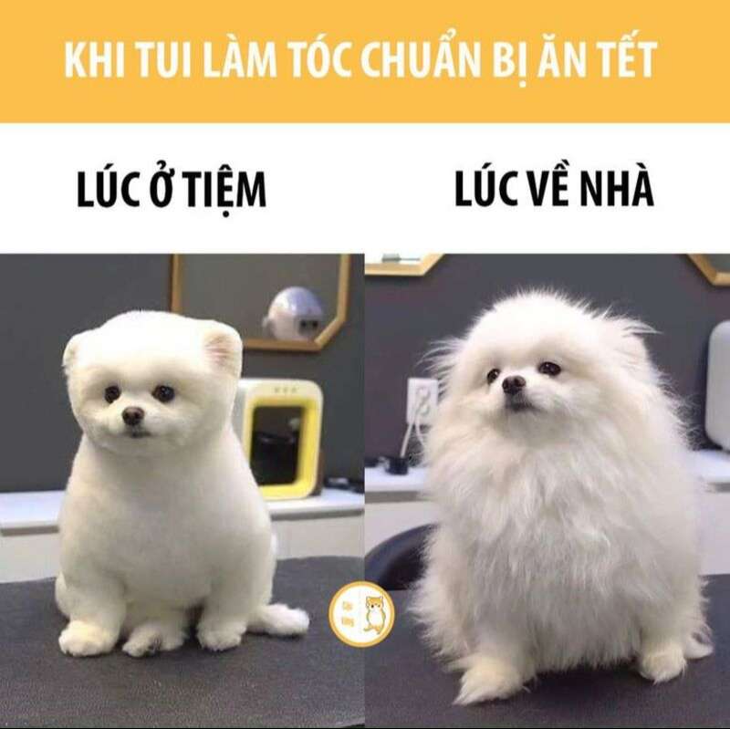 Tại cỗ Tết ngon quá thôi mà…