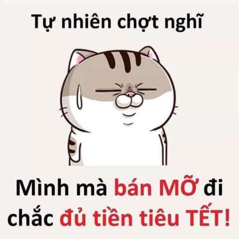 Meme đón Tết cực hài hước