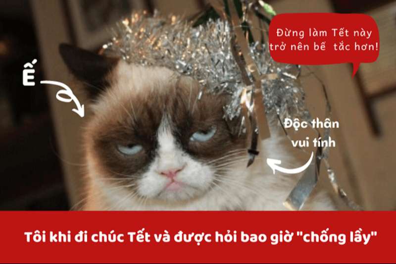 Ảnh meme Tết hài hước