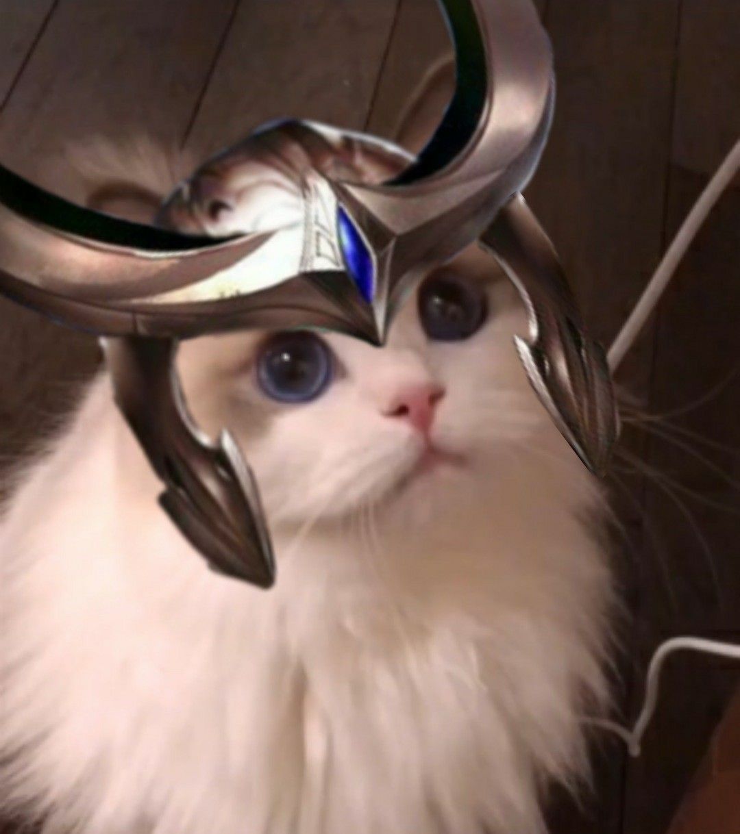 mèo 2k4 liên quân ăn kem