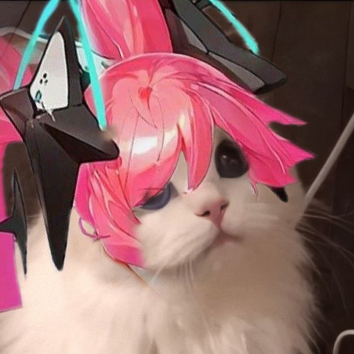 avt mèo liên quân đẹp