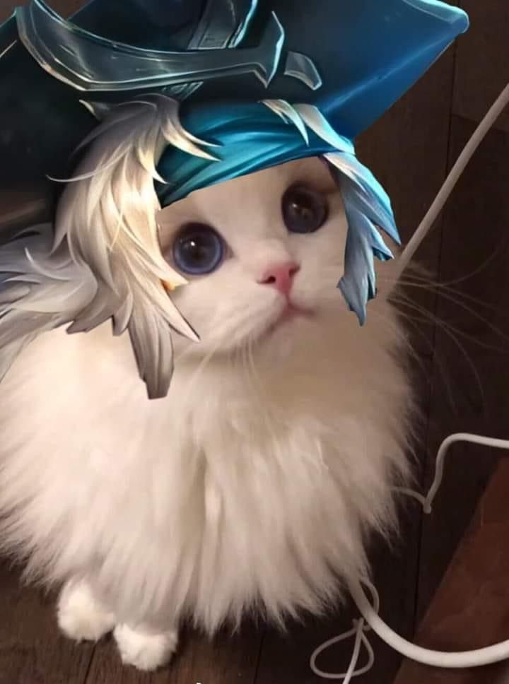 avt mèo liên quân