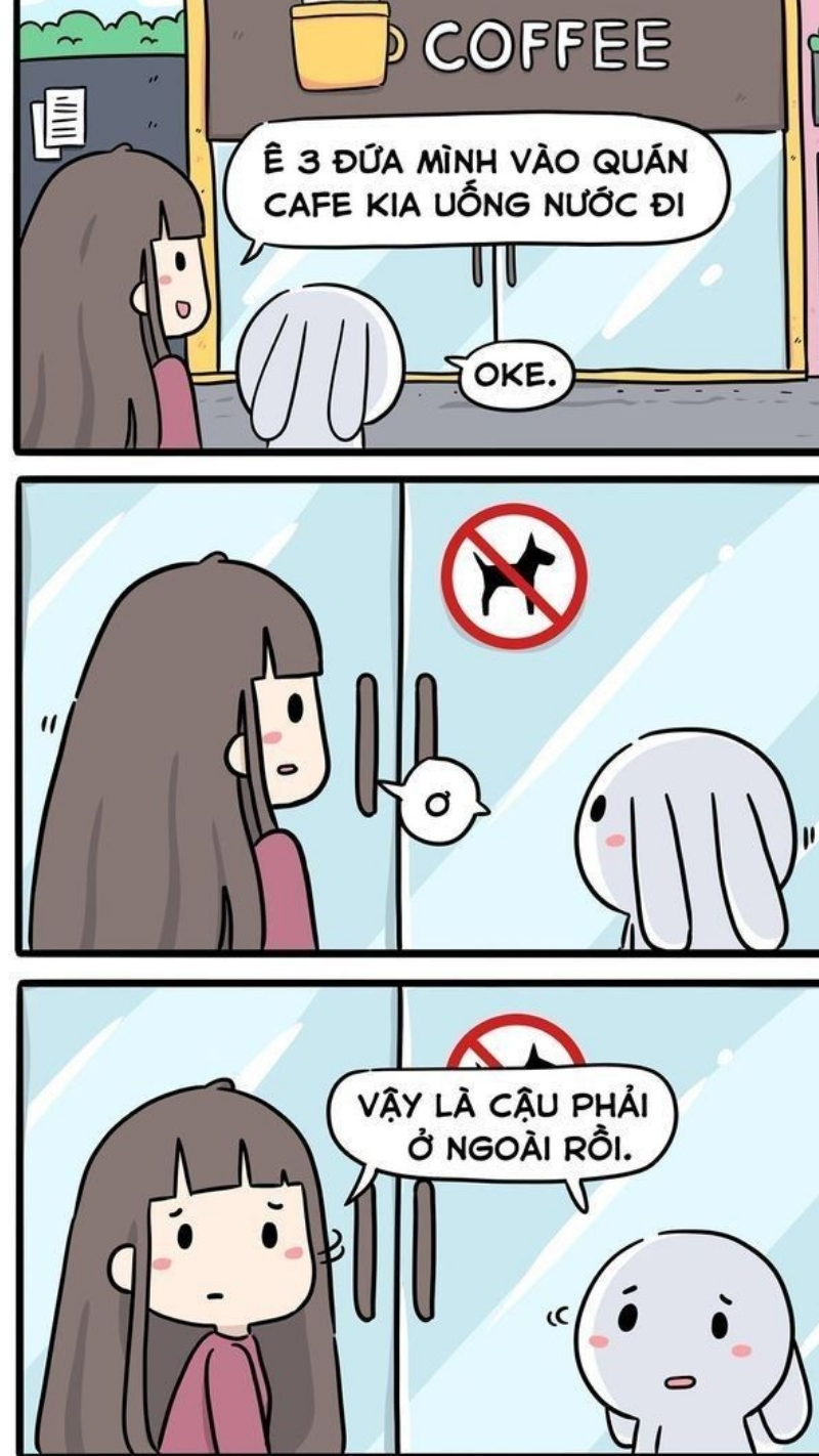 Ảnh meme thỏ 7 màu hài hước