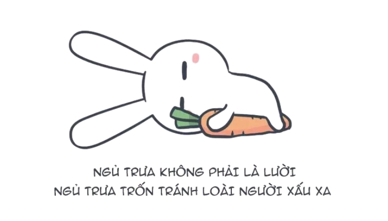 Nền meme thỏ 7 màu hài hước lạ