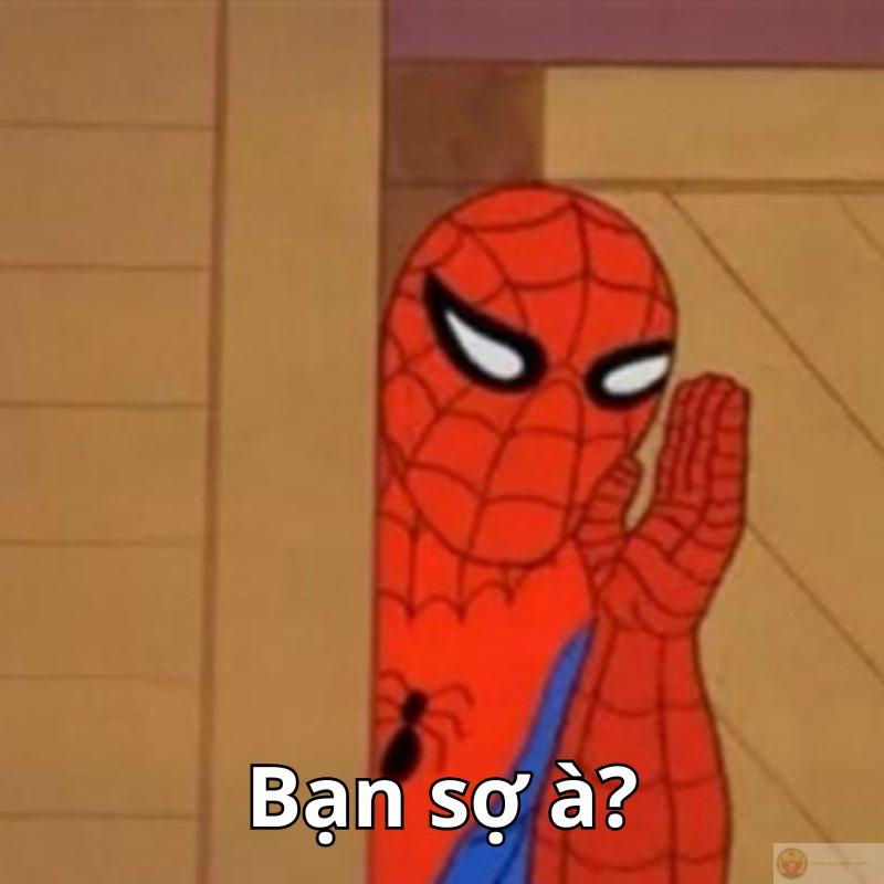 Bạn sợ meme hay sợ chính sự thật?