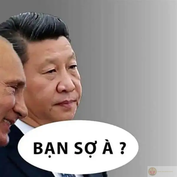 Đôi mắt long lanh đó không lừa được tui đâu