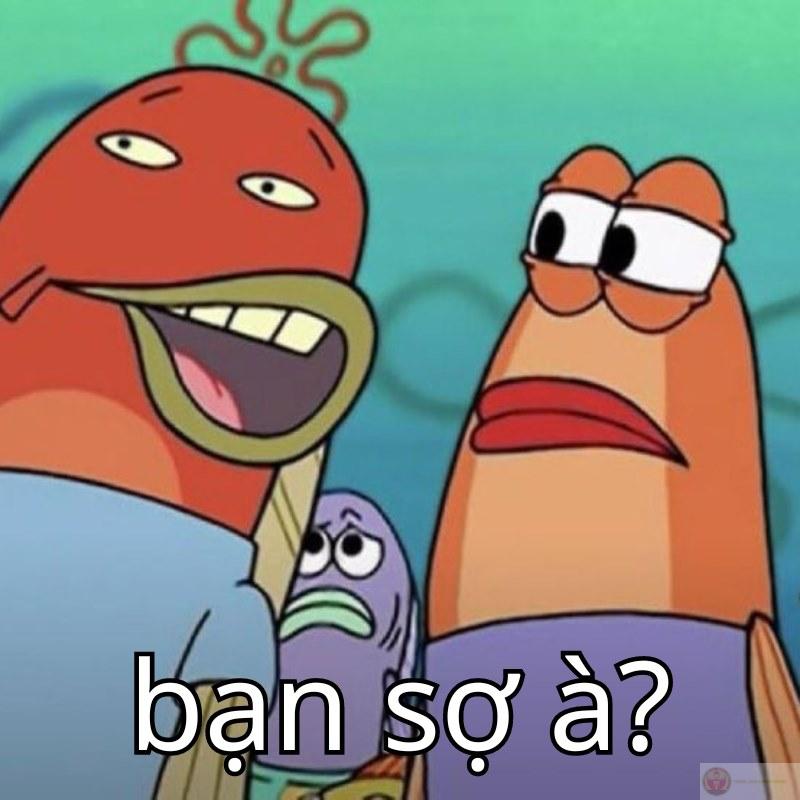 Tui chỉ hỏi vui thôi mà bạn hoảng chi?