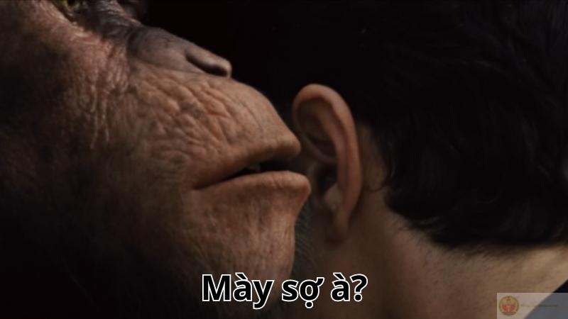 Né còn nhanh hơn deadline tháng trước luôn