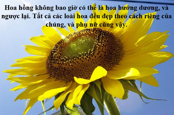 Người phụ nữ duyên dáng nâng niu bó hoa, minh họa cho những cap hài hước về hoa và vẻ đẹp khó đoán của phái nữ.