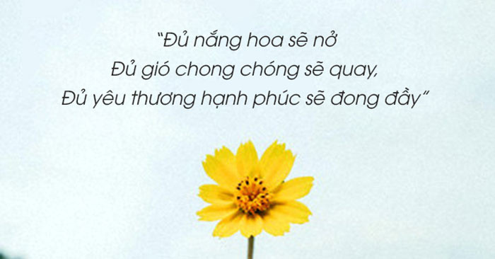 Cap Hài Hước Về Hoa: Tươi Tắn Yêu Đời, Rụng Tim Crush!