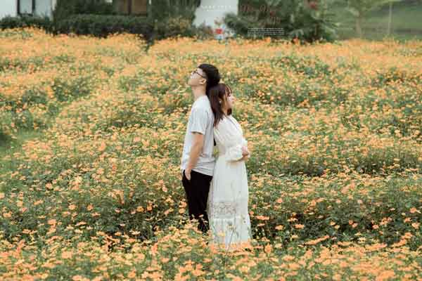 Tao Dang Tua Vao Nhau