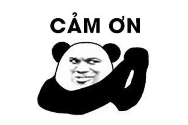 Lý do cảm ơn meme sử dụng phổ biến