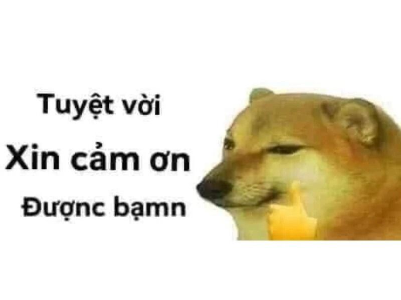 Cảm ơn meme hài hước, châm biếm