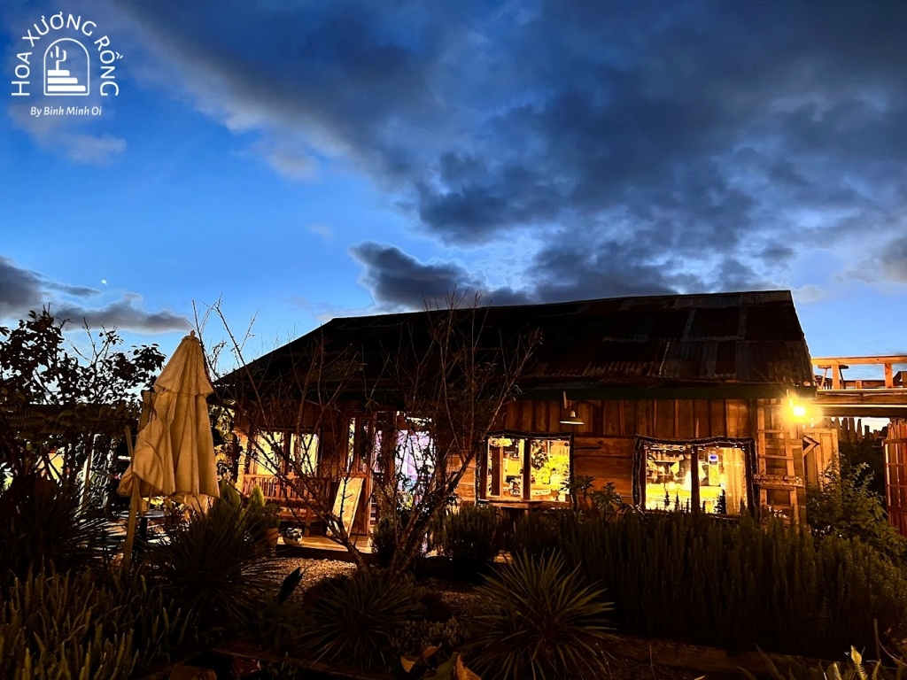 Tiệm cà phê Tavi đẹp về ban đêm ở Đà Lạt