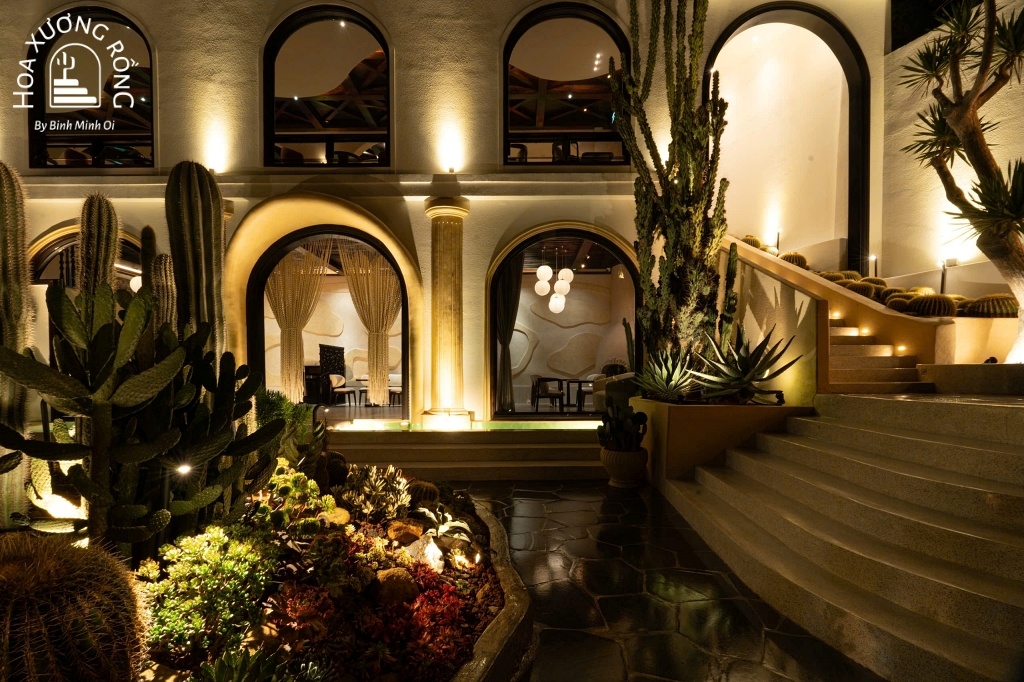 Hoa Xương Rồng Cafe về đêm