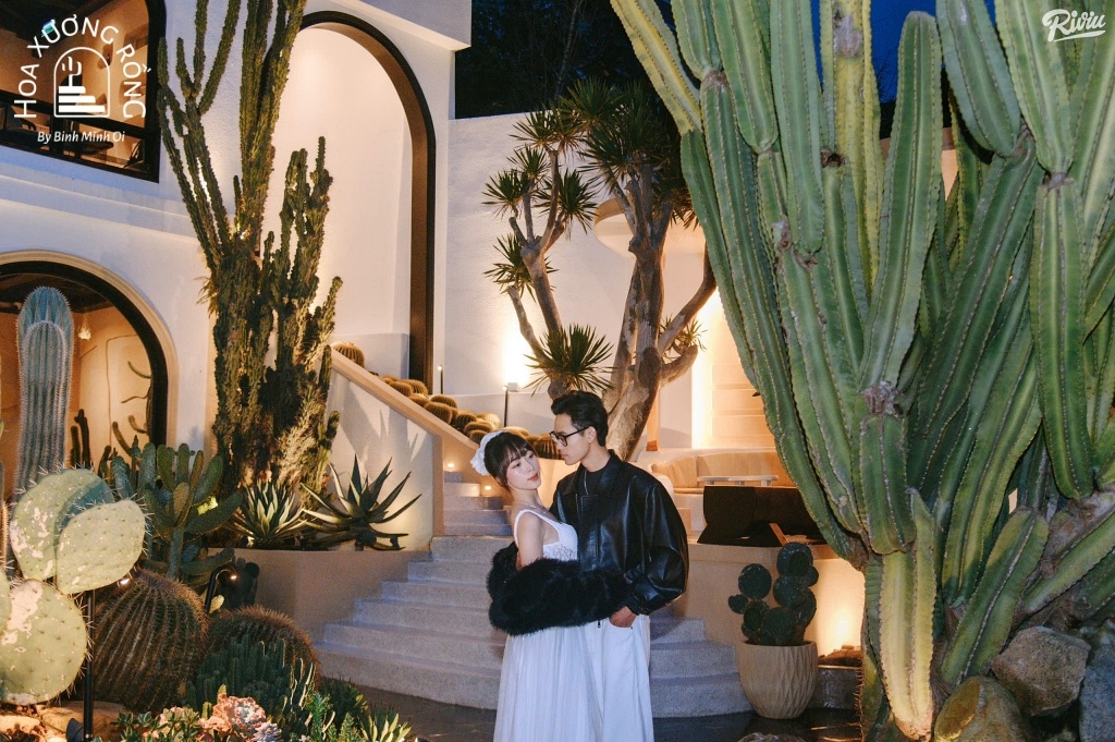 Trải nghiệm đặc biệt tại Hoa Xương Rồng Cafe vào ban đêm