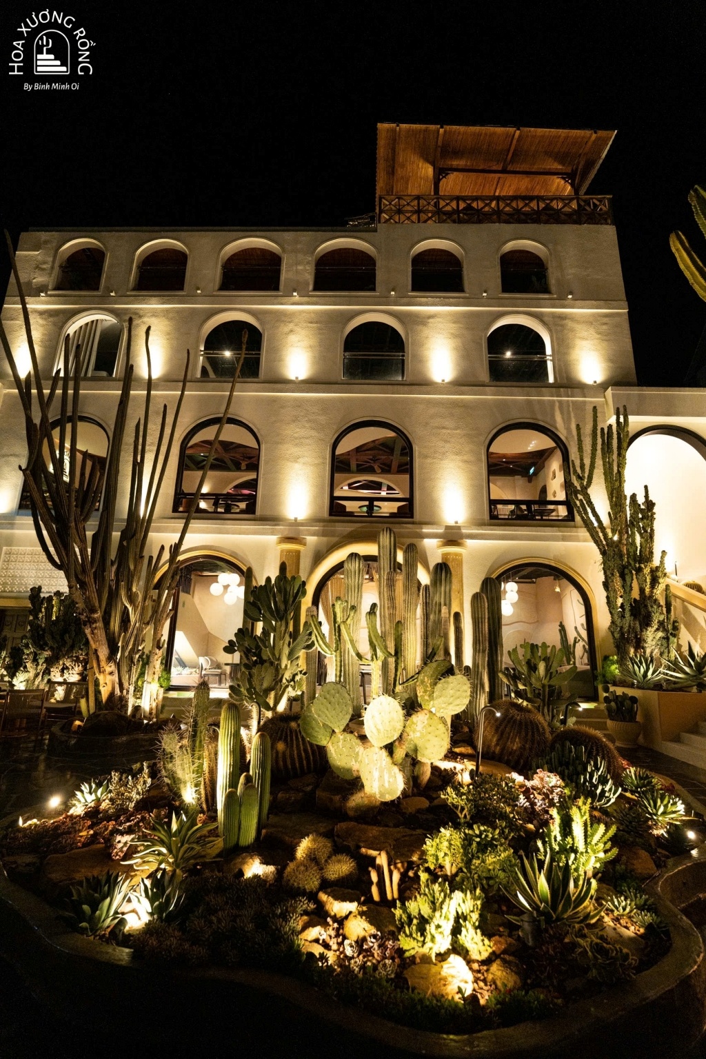 Quán cà phê Hoa Xương Rồng lung linh ánh đèn vàng ấm áp vào ban đêm