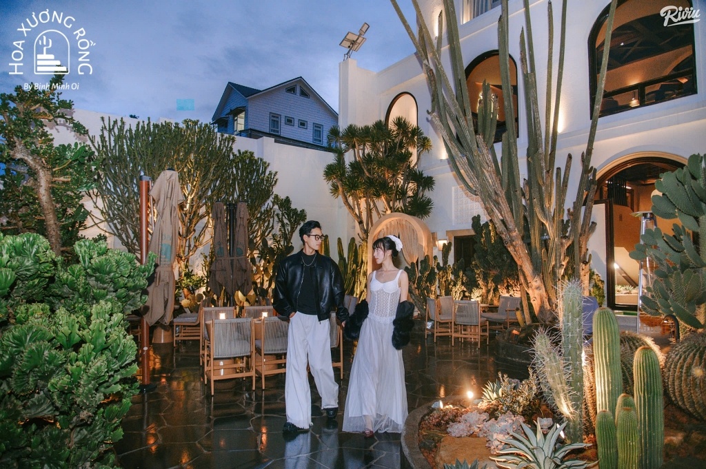 Khu vực sân vườn quán cà phê Hoa Xương Rồng vào ban đêm