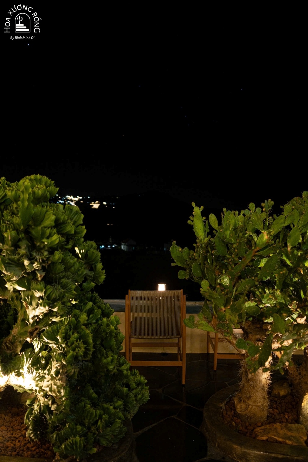 Chỗ ngồi view ngắm cảnh Đà Lạt về đêm ở quán cafe Hoa Xương Rồng