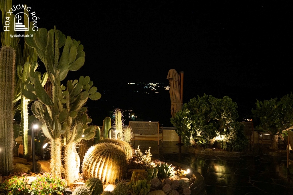 Hoa Xương Rồng Cafe Đà Lạt là một điểm đến lý tưởng để trải nghiệm không gian lãng mạn và độc đáo vào ban đêm