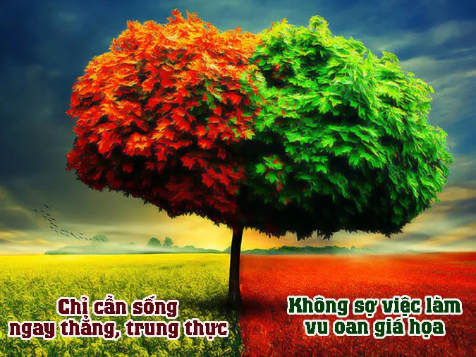 cay-ngay-khong-so-chet-dung-voh-1