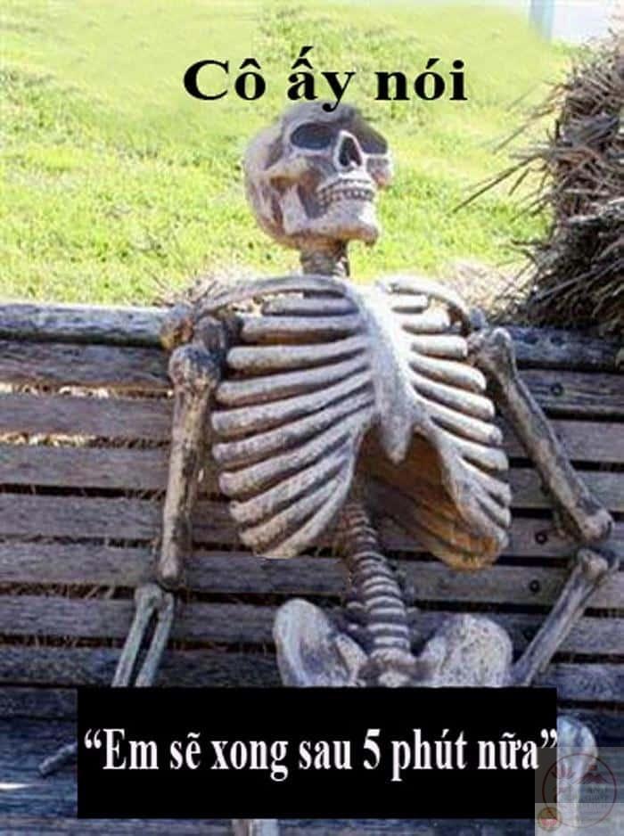 Top ảnh chờ đợi hài hước