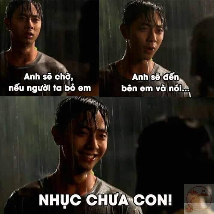 Top ảnh chờ đợi hài hước buồn cười