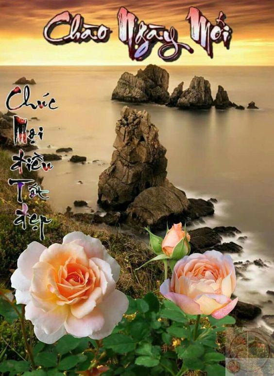Chúc ngày mới meme