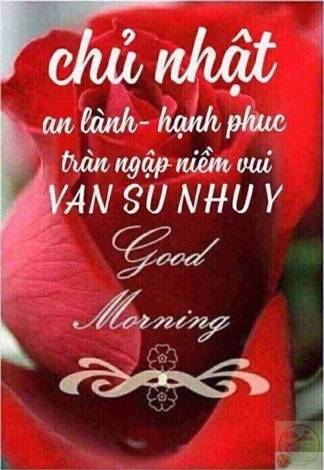 Một ảnh chế hài hước giúp khởi động tuần với nhiều tiếng cười và hứng khởi