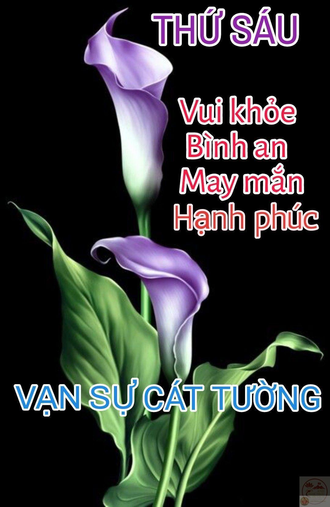 Một chút dí dỏm đầu ngày sẽ khiến cả tuần trở nên nhẹ nhõm hơn rất nhiều