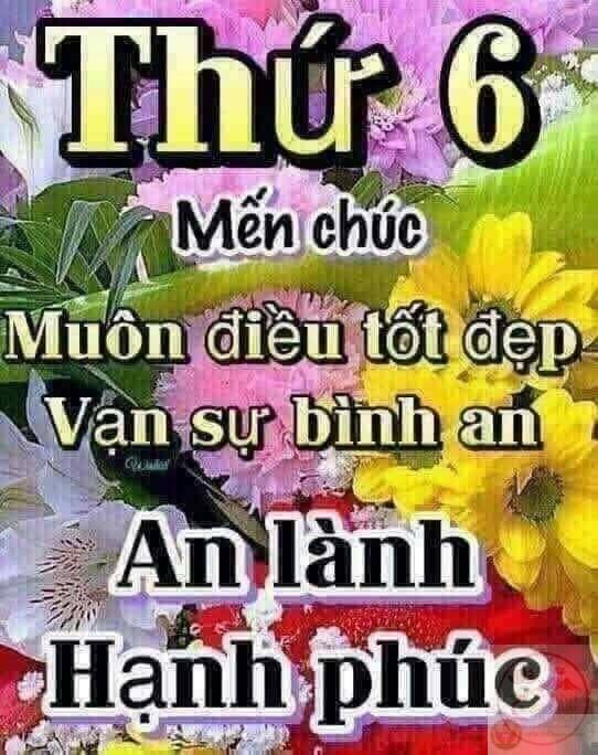 Một lời chào các ngày trong tuần mang lại sự kết nối đầy ý nghĩa cho bạn bè